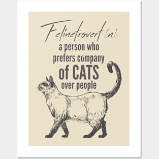 Felinetrovert Posters and Art